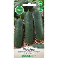 OGÓREK JOGGER F1 0,5G WEGANA/SAŁAT. KRÓT/600/,