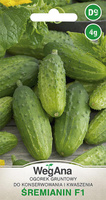 OGÓREK ŚREMIANIN (MIESZ. F1) 4G WEGANA /KONS./300/