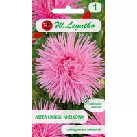 ASTER IGIEŁ. RÓŻOWY 1G LEGUTKO.