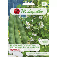 FASOLA NA SUCHE NAS. TYCZNA PIĘKNY JAŚ 40G LEGUTKO