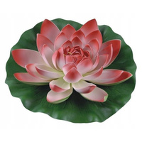 PT GR  LILIA WODNA 28cm CZERWONA