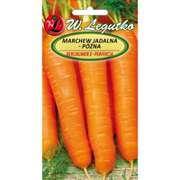 MARCHEW BERLIKUMER2- PERFEKCJA 5G LEGUTKO /PÓŹNA/.