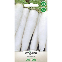 RZODKIEW ASTOR 5G WEGANA /BIAŁA PODŁ. PÓŹNA/240/