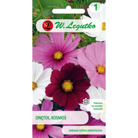 ONĘTEK KOSMOS MIESZ. 2G LEGUTKO