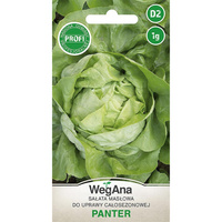 SAŁATA PANTER 1G /MASŁ./ WEGANA/700/