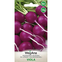 RZODKIEWKA VIOLA 10G WEGANA /OKR.FIOLET/200