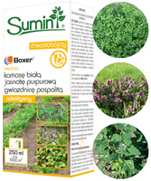 SCH BOXER 800EC 250ml SUMIN /12/