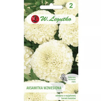 AKSAMITKA WZNIES. KREMOWOBIAŁA 0,3G LEGUTKO