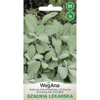 SZAŁWIA LEKARSKA 1G WEGANA