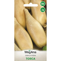 CEBULA TOSCA 2G WEGANA TYP EXHIBITION./300/