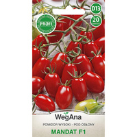 POMIDOR MANDAT F1 20n WEGANA /CZERWONY WCZ/1500