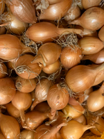 CEBULA DYMKA B STUTTGARTER 8-21 0,5kg /20/