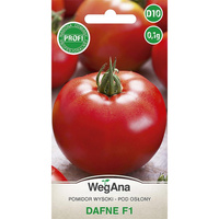 POMIDOR DAFNE (F1) 0,1G WEGANA/CZER OKR ŚR.PÓ/1500